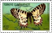 Eastern Festoon (Allancastria cerisyi)