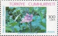Mallow Blossoms (Malva Silvestris)