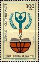 International Literacy Year