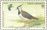 Northern Lapwing (Vanellus vanellus)