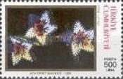 Embroidered Flowers