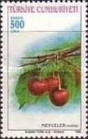 Cherries