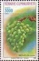 Grapes