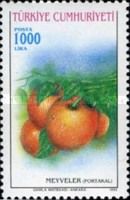 Oranges
