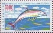 Dolphin Jumping