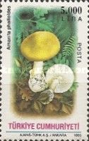 Green Amanita (Amanita phalloides)