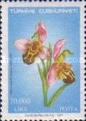Ophrys apifera