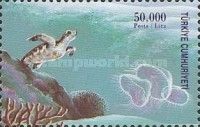 Turtle, Jellyfish