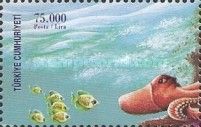 Fish, Octopus