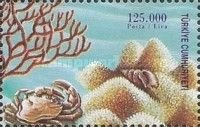 Coral, Crab, Sea Snail