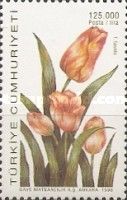 Tulipa saxalitis