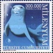 Mediterranean Monk Seal (Monachus monachus)