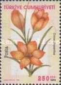 Crocus chrysanthus