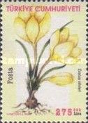 Crocus olivieri
