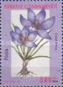Crocus biflorus