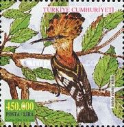 Eurasian Hoopoe (Upupa epops)