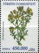 Kantaron (Hypericum perforatum)
