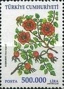 Rosa moyesii