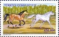 Light Brown and White Horses galloping (Equus ferus caballus