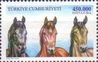 Black Brown, Red Brown and Dark Brown Horse (Equus ferus cab