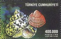 Shell