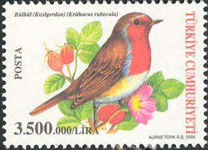 European Robin (Erithacus rubecula)