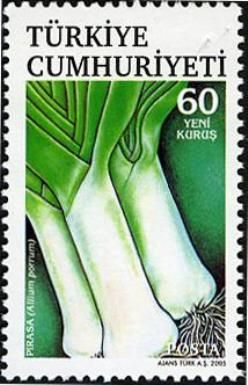 Allium porrum (Leeks)