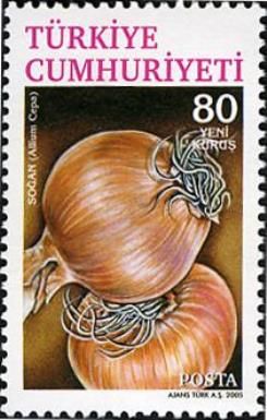 Allium cepa (Onions)
