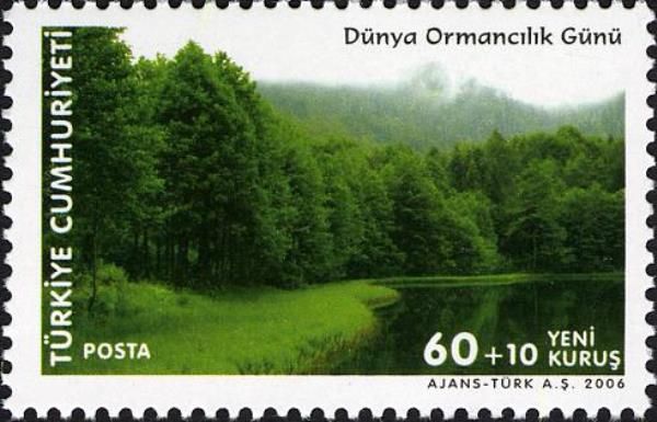 Forest Lake