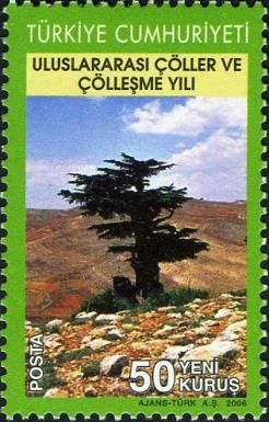 Mountain Landscape