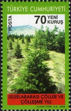 Forested Area