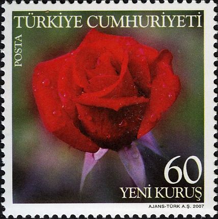 Rose Varieties - Red