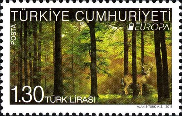 Forests