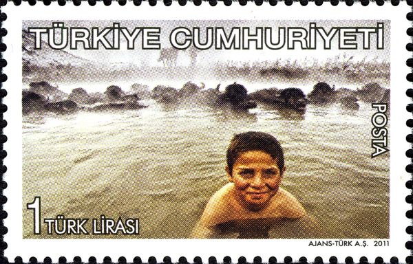 Agriculture and Human in Turkey