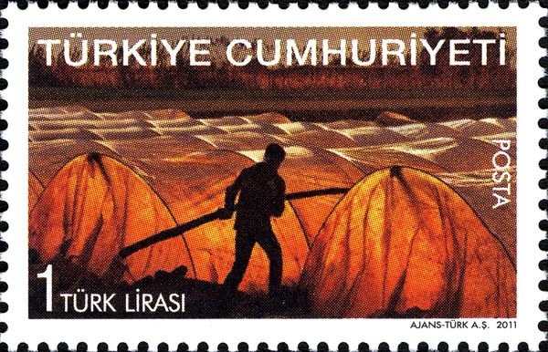 Agriculture and Human in Turkey