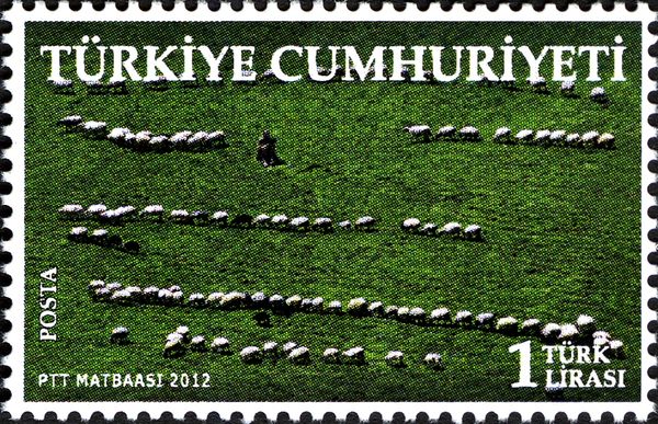 Agriculture field