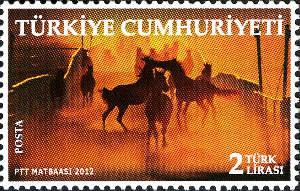 Horses (Equus ferus caballus)