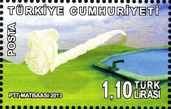 2013 Unesco Intangible Cultural Heritage