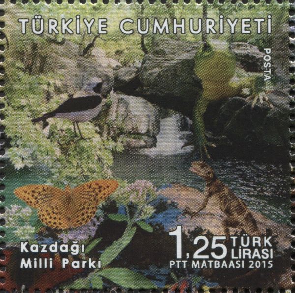 Forest Brook, Bird, Butterflies, Frog, Lizard - Kazdagi Mill