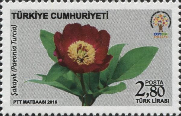 Horticultural EXPO 2016