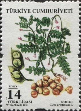 Legumes : Chickpeas
