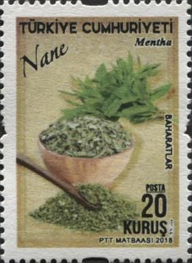 Mint (Mentha)