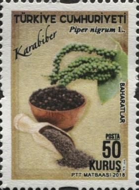 Black Pepper (Piper nigrum L.)