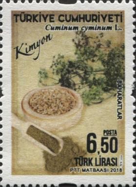Cumin (Cuminum cyminum L.)