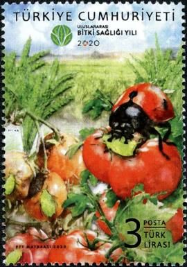 International Year of Plant Health