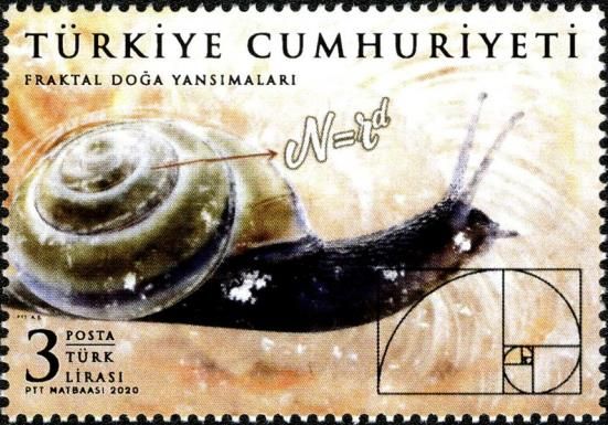 Snail