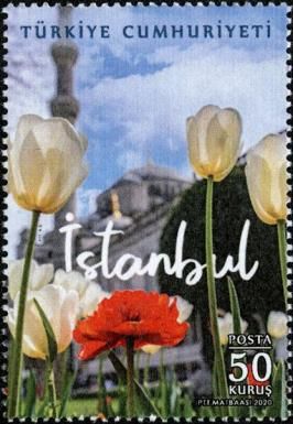 Flowers in Front of Hagia Sophia