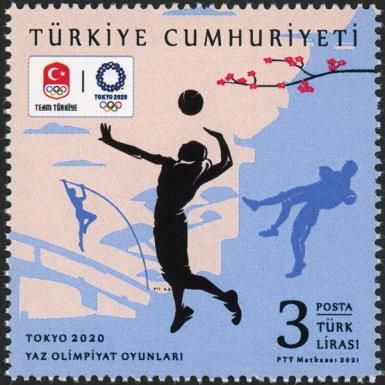 Volleyball, Wrestling and High Jump