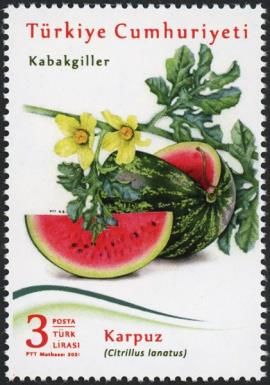 Watermelon (Citrullus lanatus)