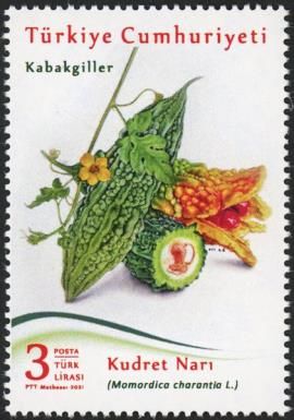 Bitter Melon (Momordica charantia)
